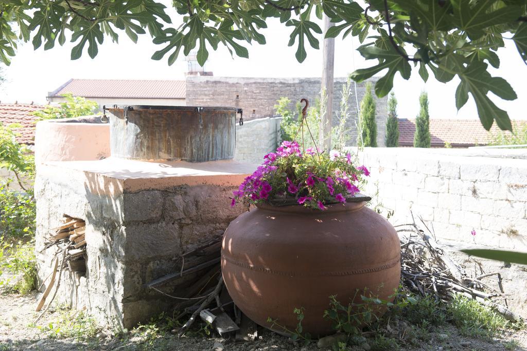 Villa Marianna Mansion Pachna Camera foto